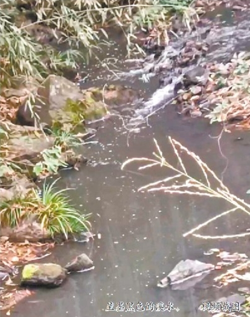 于都县宽田乡一养猪场排污导致溪水发黑 乡政府:责令养殖户更换管道