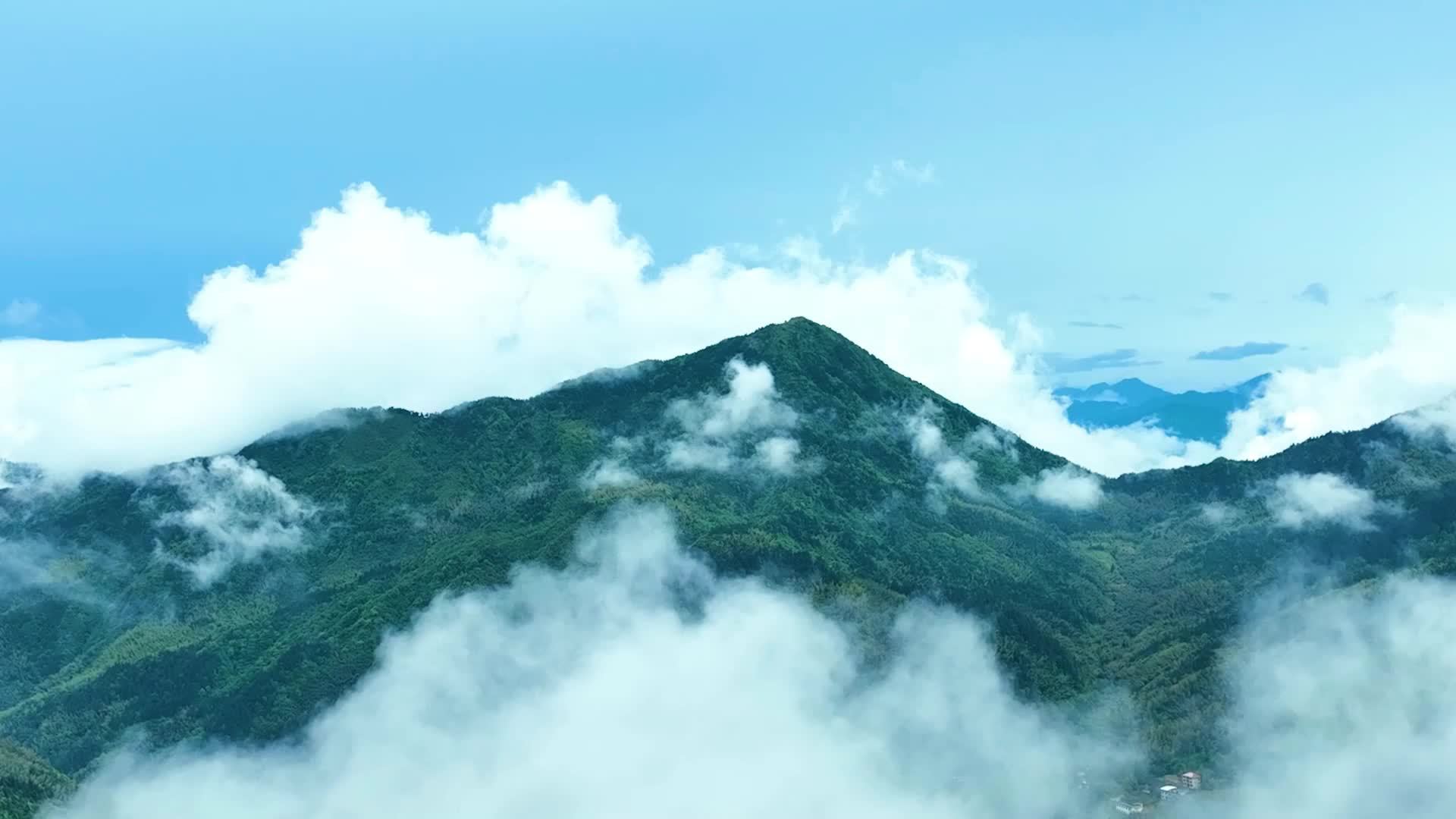 千城百县看中国｜湖南新宁：珍稀动物频现 生态保护显成效