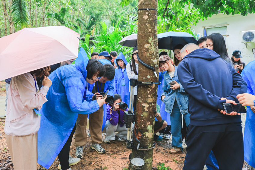 机器人智能割胶 天然橡胶产业植入“智慧芯”｜2024年全国重点网络媒体海垦行