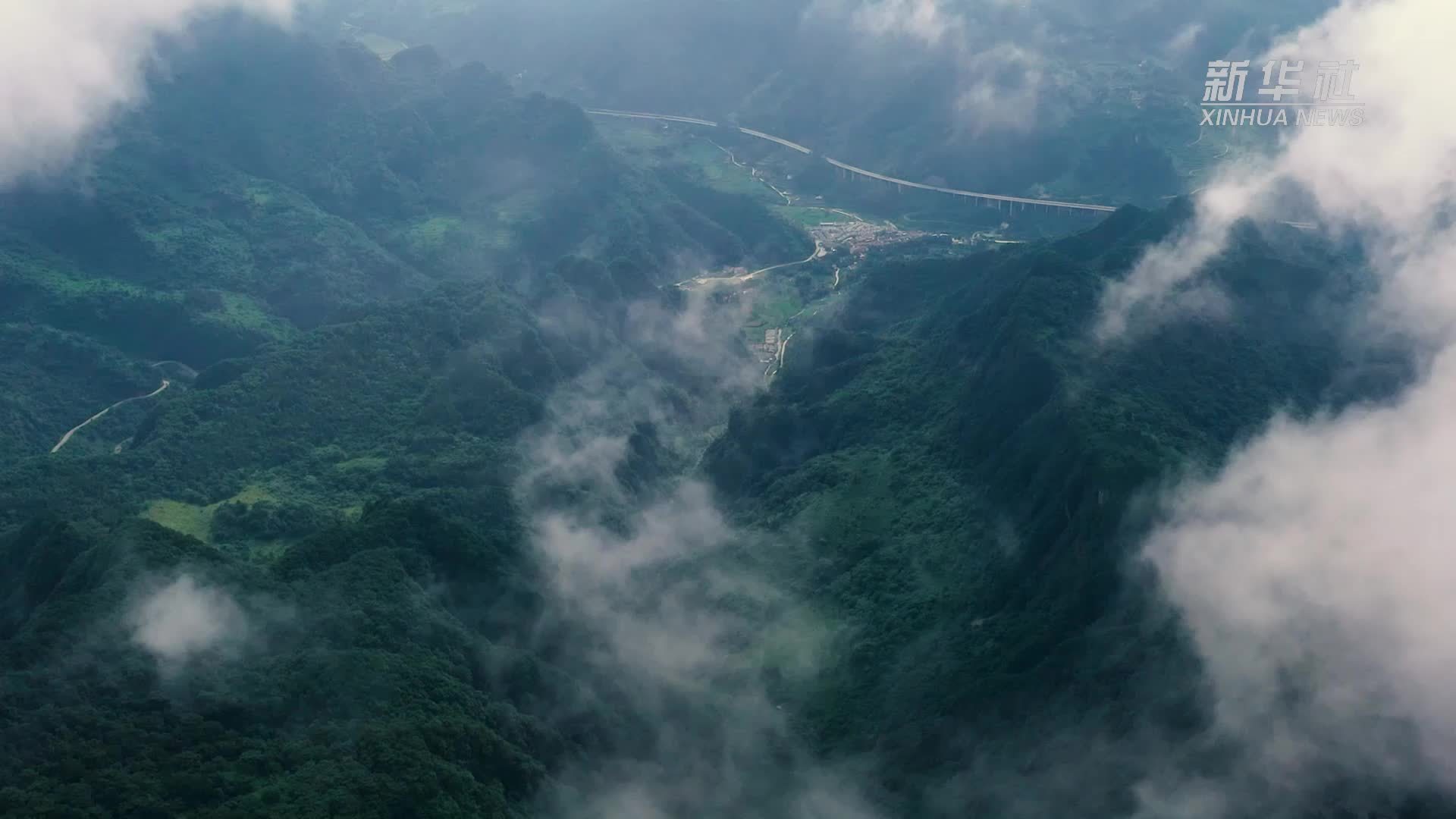 文旅在西部丨乡土藤编闯向世界