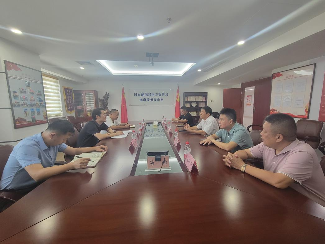 海南省能源协会到国家能源局南方监管局海南办座谈交流