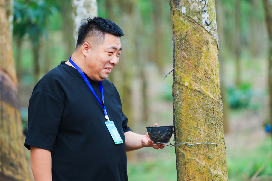 海垦西联百年胶园迎来一批“兼职割胶工”|2024年全国重点网络媒体海垦行