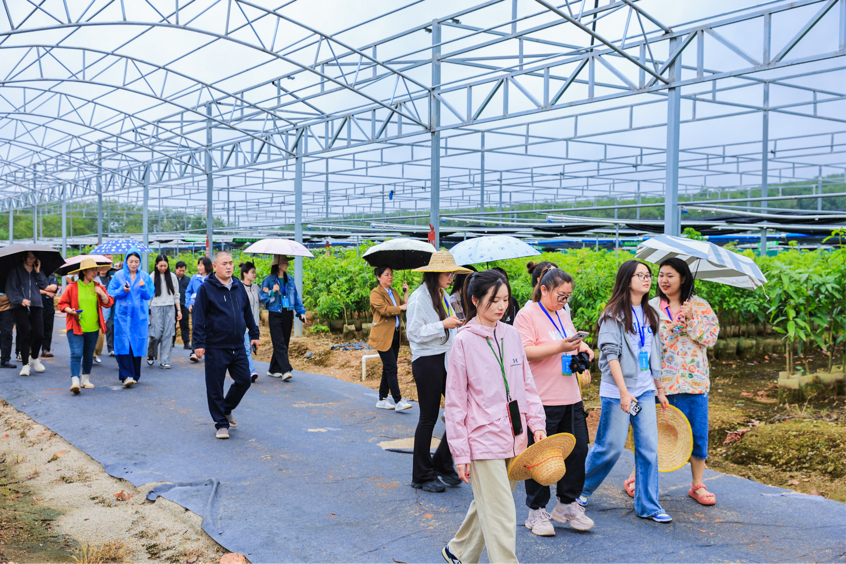 奇珍异果满怀收，海南农垦“苗”定发展新道路｜全国网媒行走进海垦大岭苗木产业园