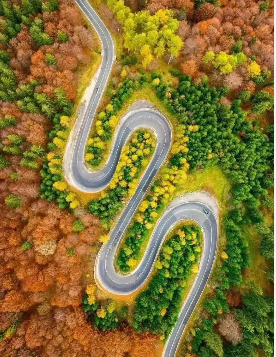 汉中市留坝县高江路秋景