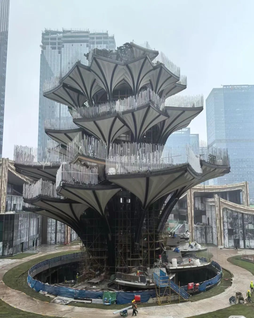 △“生命之树”最新建设实拍图