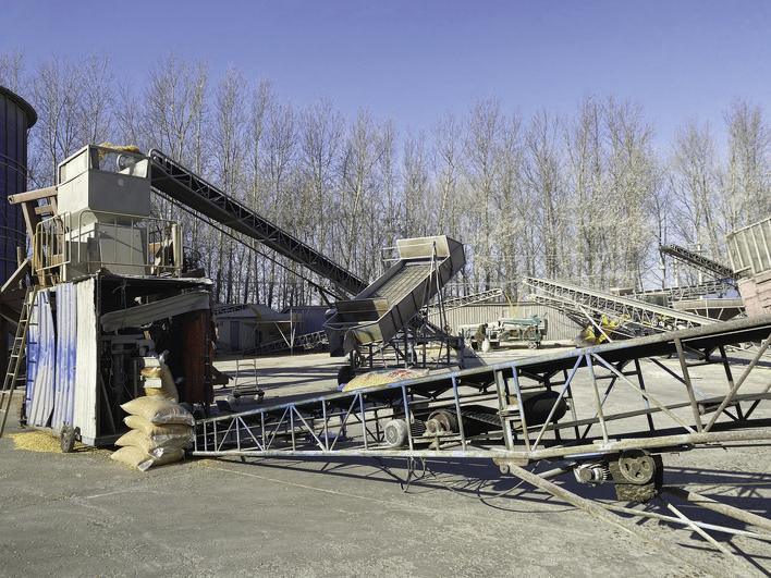 在位于九台区纪家街道的凤财农业机械化农民专业合作社里,玉米被打包装袋后进行销售。 梁闯 摄