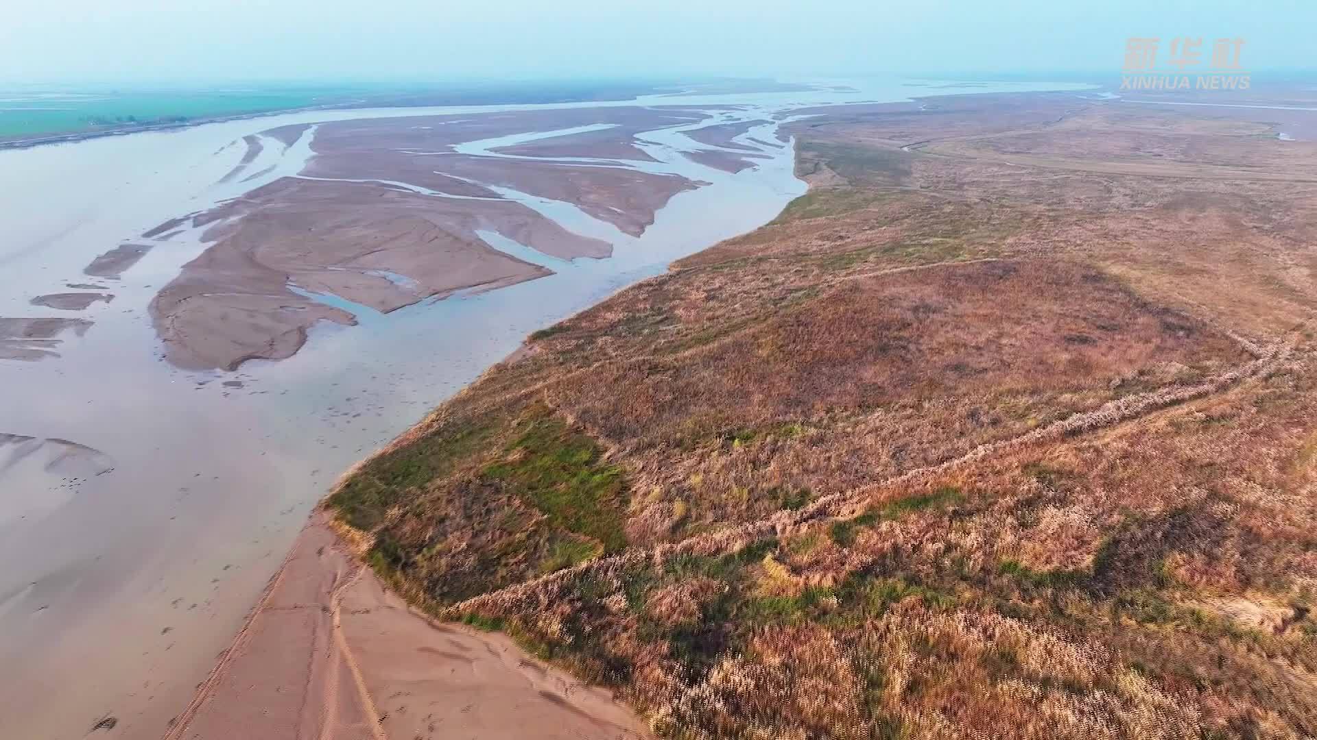 候鸟翔集 初冬黄河湿地尽显生态之美