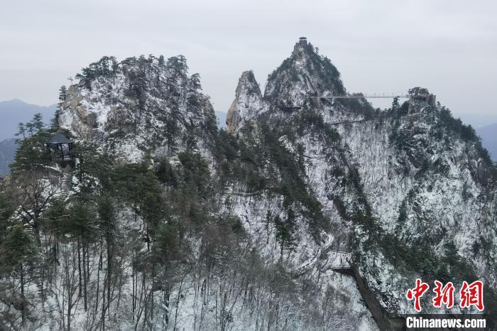 河南老界岭：今冬首雪绘丹青