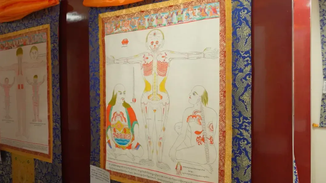 曼唐是藏医学的“教学PPT”，藏医治疗和中医有何区别？