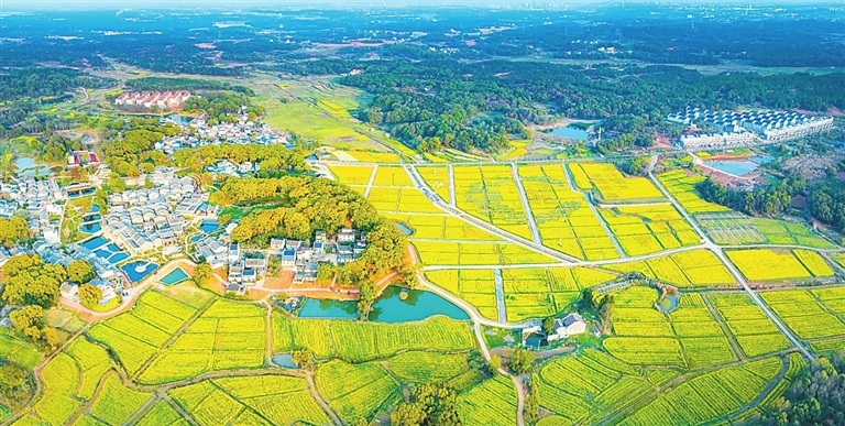 通过“VEP+生态古村贷”方式打造的钓源古村旅游项目