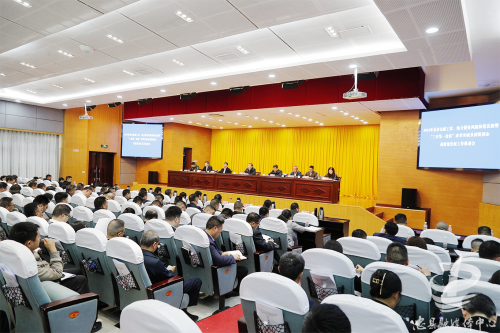 会议现场。记者 余鸿 摄