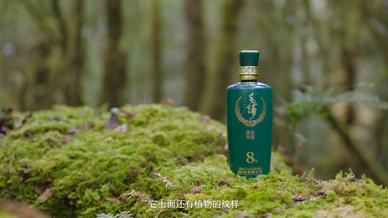 雷佳音开局聊人生,草本酒引领健康路 ——《毛铺草本中国行》开播