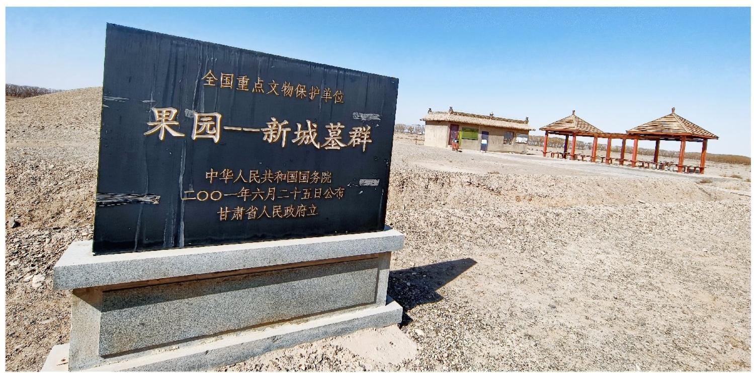 嘉峪关新城墓群一角