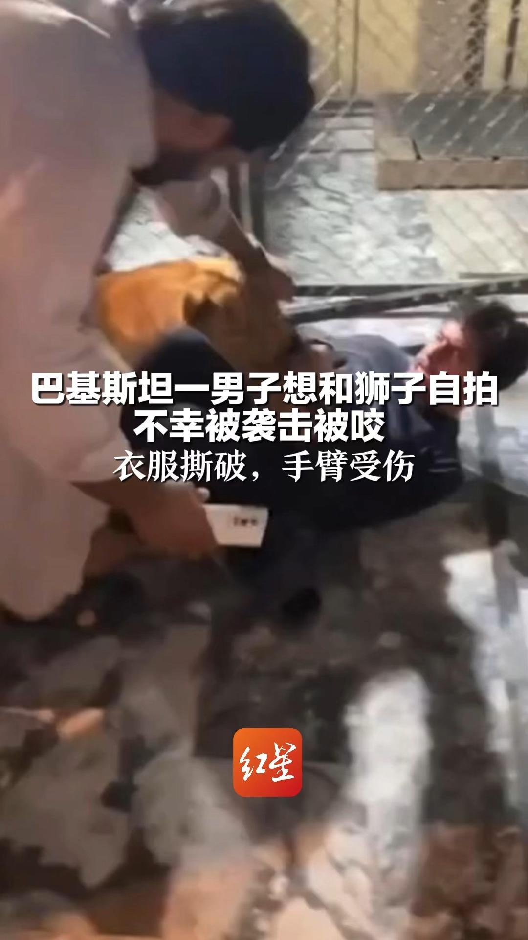 巴基斯坦一男子想和狮子自拍  不幸被袭击被咬  衣服撕破，手臂受伤