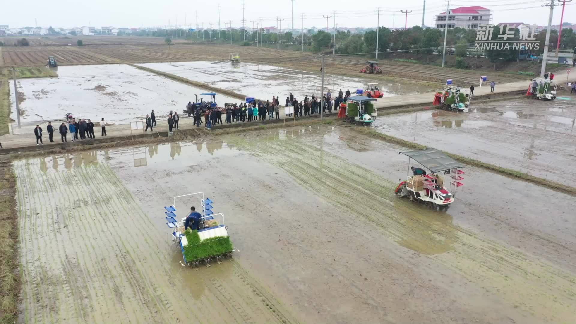 湖南汨罗：冬闲人不闲 农民学技忙