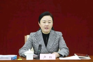 万州区委书记卢红：落实领导包案制度，打好信访突出问题化解三年攻坚战凤凰网重庆_凤凰网