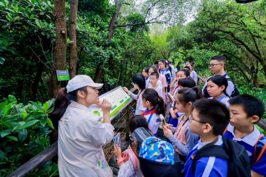 “绿美广东·阅读自然”青少年生态写作活动在福田红树林自然保护区成功举办