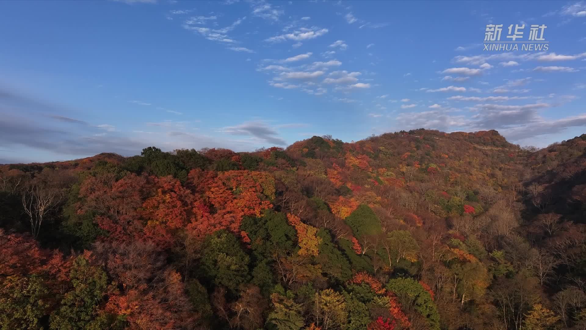 四川旺苍：彩林美景迎客来