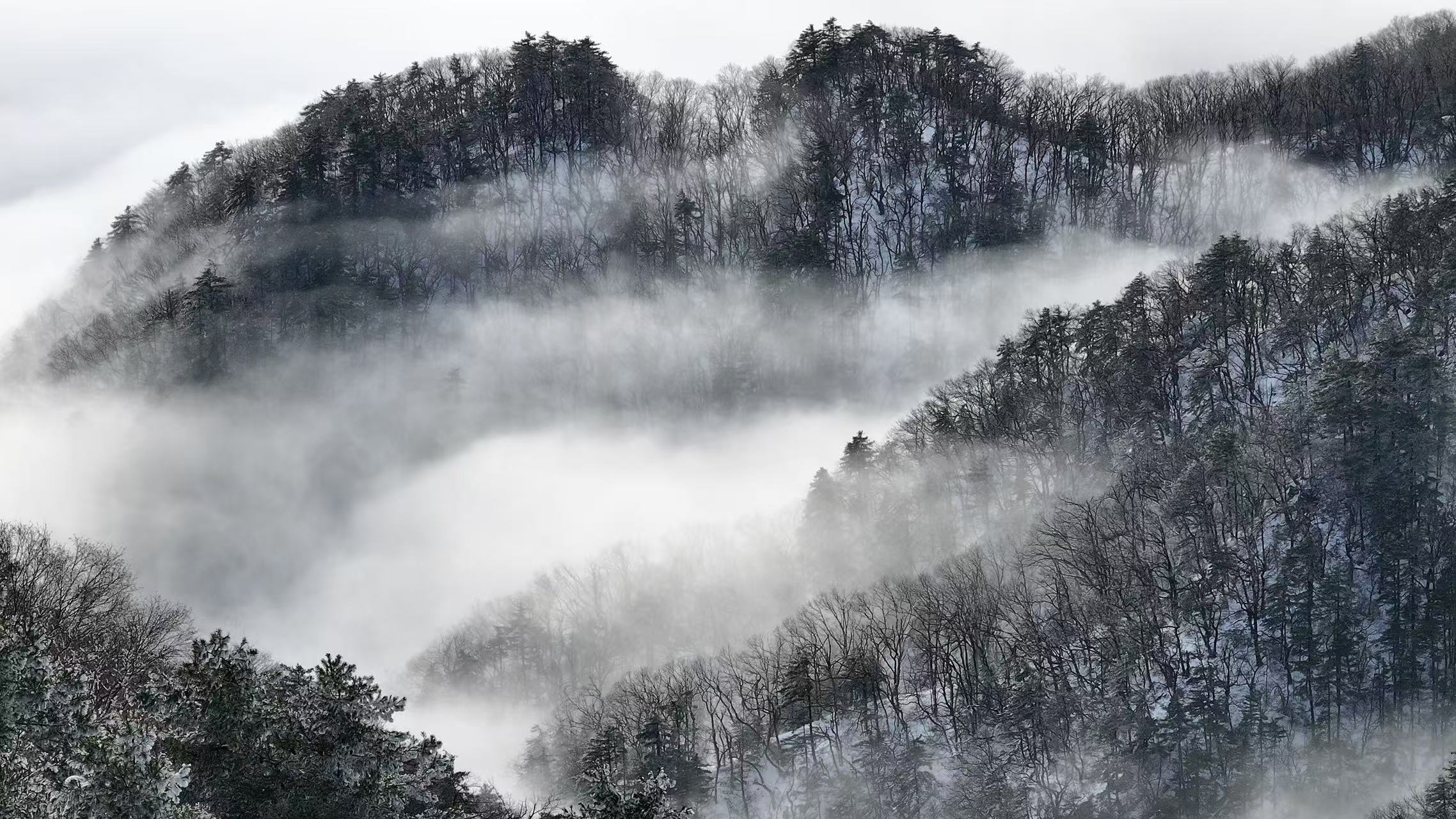 尧山初雪云海似画，美景惊艳众人