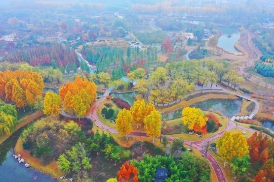 ▲凤凰苑植物园