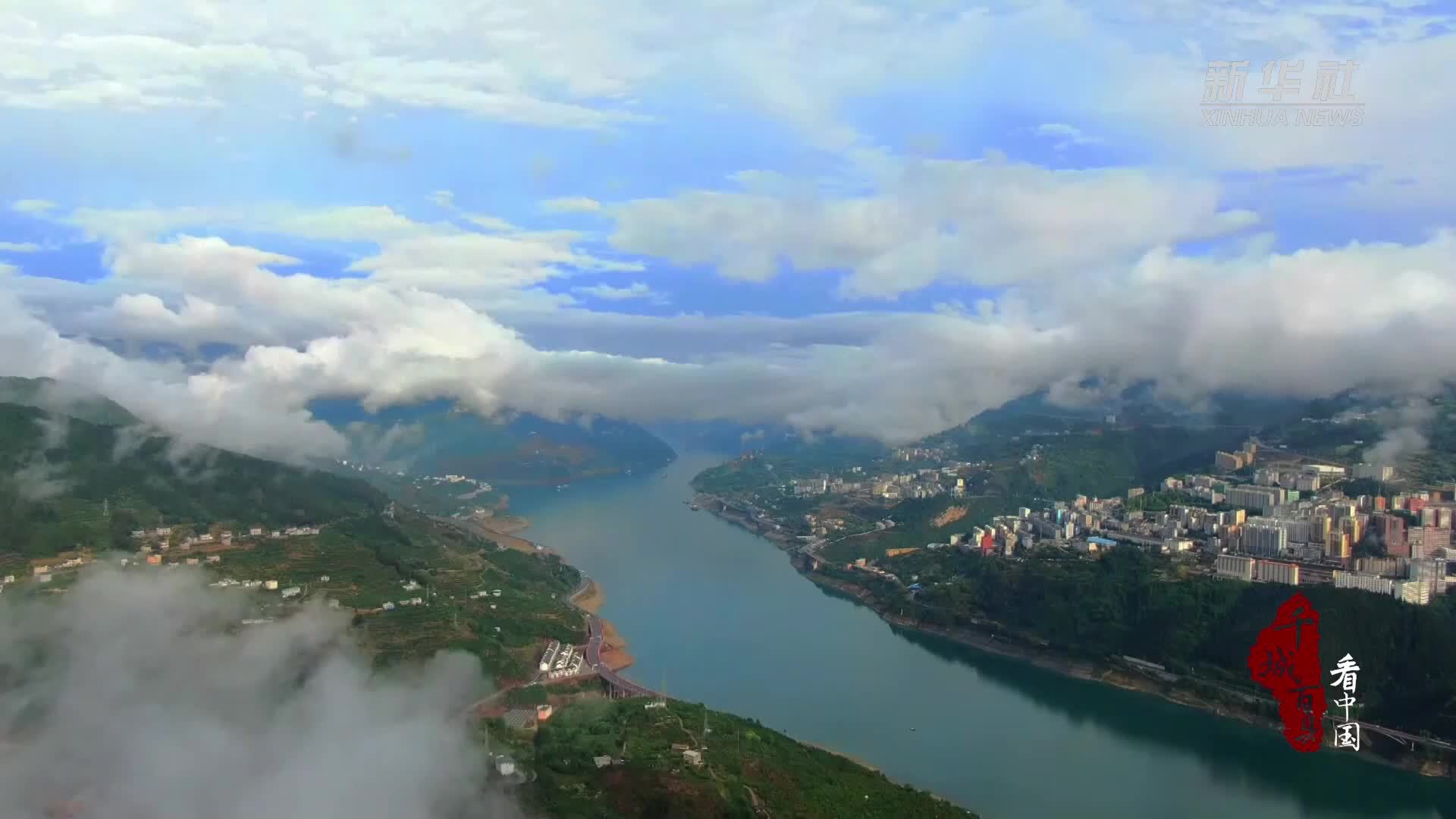 千城百县看中国｜湖北巴东：柑橘产业富乡邻