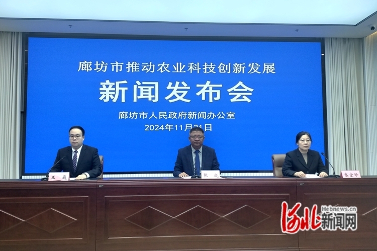 图为新闻发布会现场。孙畅摄