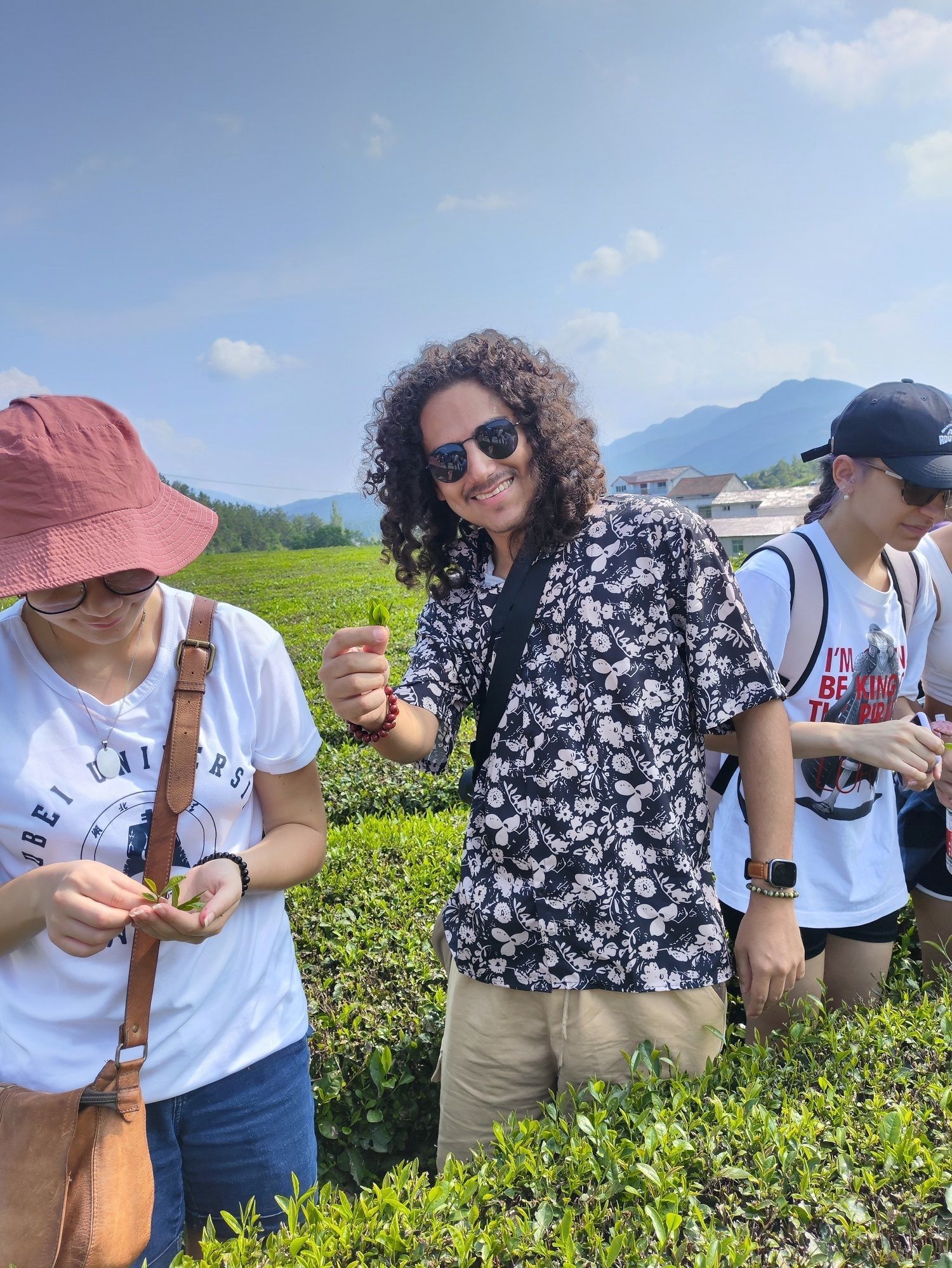 巴西留学生奥塔维奥和同学到湖北省英山县学习茶叶采摘加工工艺