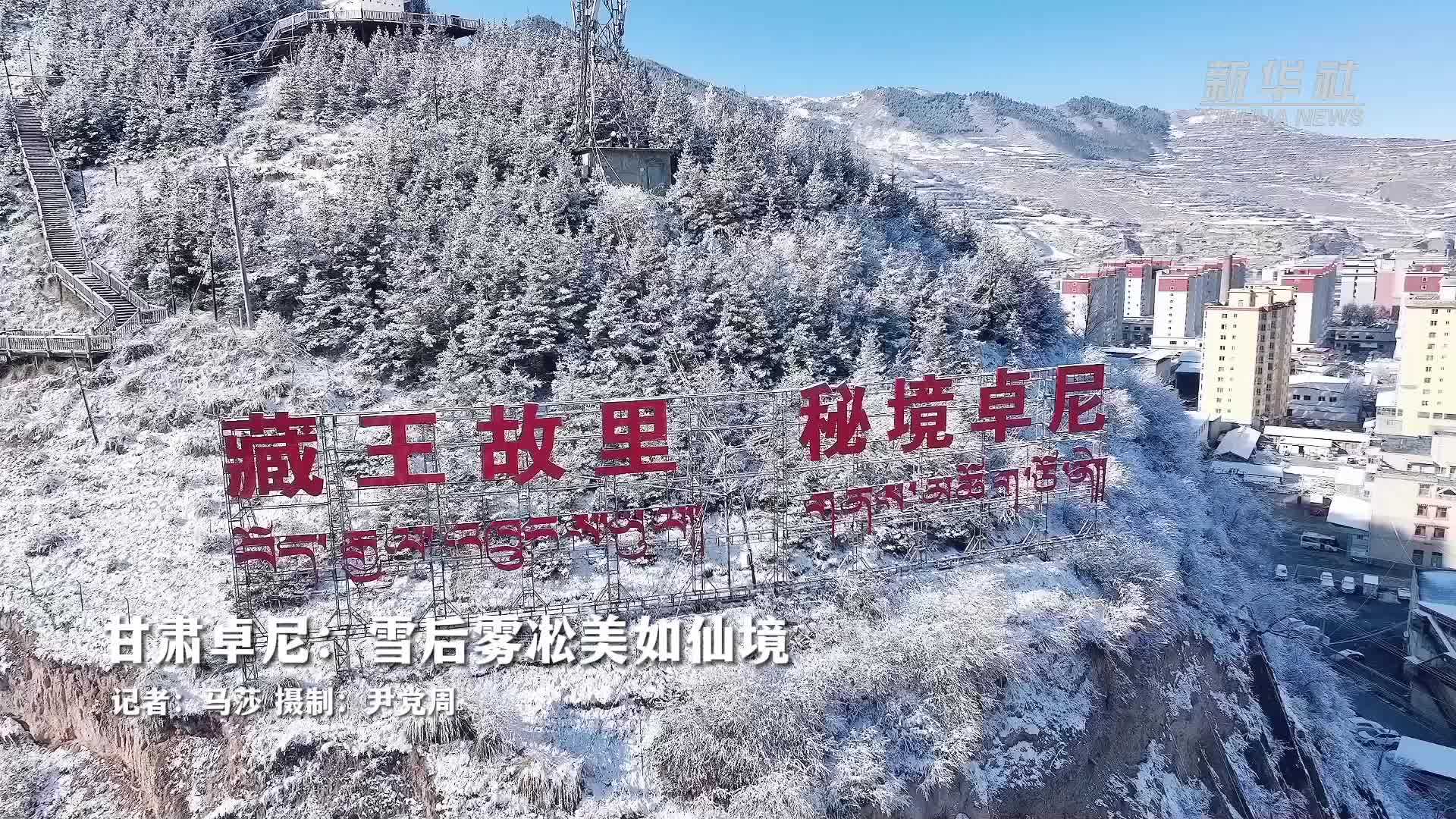 甘肃卓尼：雪后雾凇美如仙境