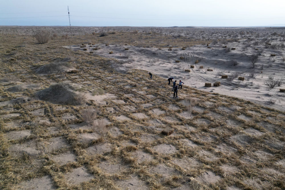 11月15日，在民勤县薛百镇境内，居民扎草方格沙障（无人机照片）。新华社记者　张智敏　摄