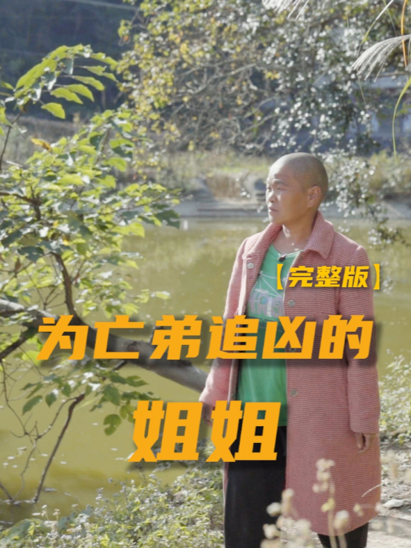 一段跨越27年的追凶之旅，一位姐姐为弟弟的冤屈孤身奋斗 弟弟8岁那年惨遭杀害，凶手逍遥法外，而李海玉却从未放弃。家庭从富裕到破碎，她历经离婚、流浪，甚至差点被拐卖，但心中的仇恨与正义之火从未熄灭