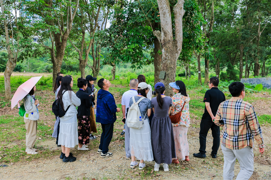 海垦西联百年胶园迎来一批“兼职割胶工”|2024年全国重点网络媒体海垦行