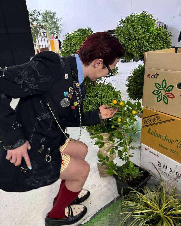 权志龙弯腰抚摸植物，红袜子抢镜。