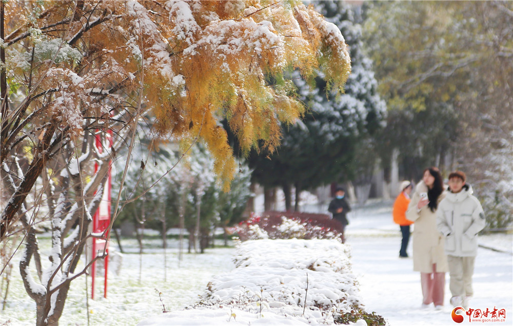 天虽冷，但雪景迷人，众多市民群众毅然冒着严寒出门赏雪。