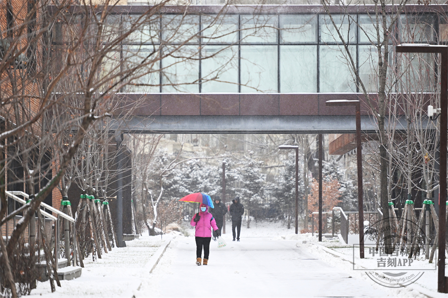 园区内的每一个角落，都散发着纯净与美好的气息。