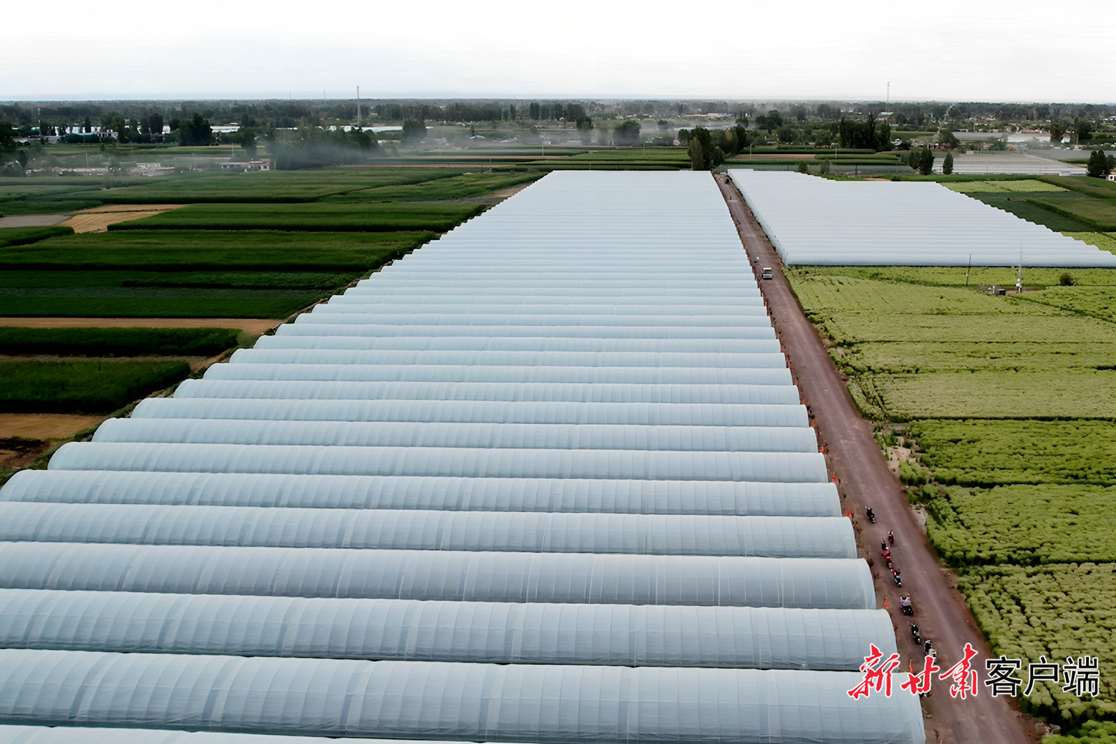 一排排温室大棚整齐排列