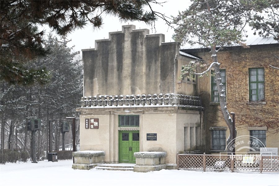 雪花轻盈地飘落在古朴的建筑之上，为这些承载着历史记忆的建筑披上了一层洁白无瑕的雪纱。