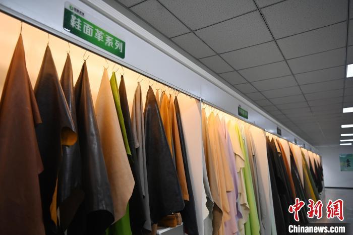 11月22日，甘肃省临夏回族自治州广河县一家皮革企业生产的皮革产品。九美旦增　摄