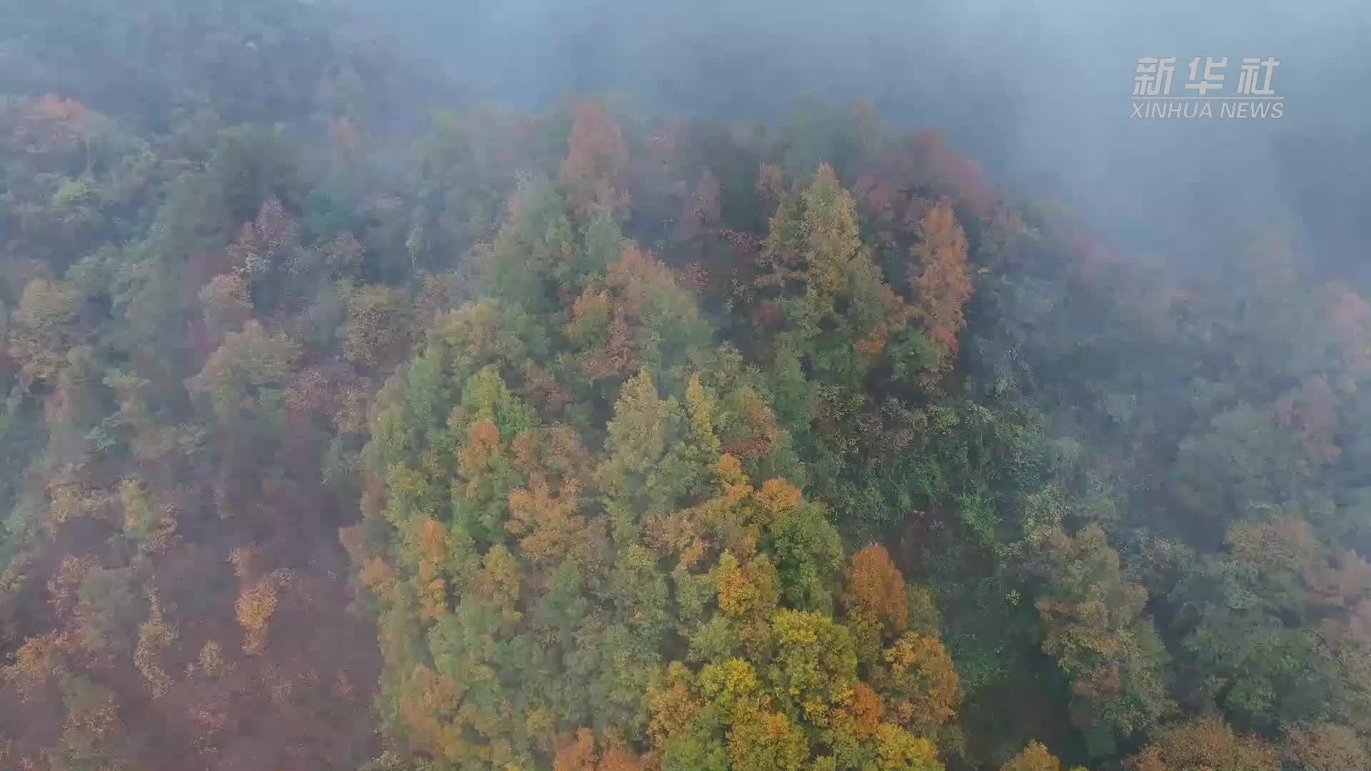 四季旅行|陕西勉县:大地斑斓似彩绸_凤凰网视频_凤凰网