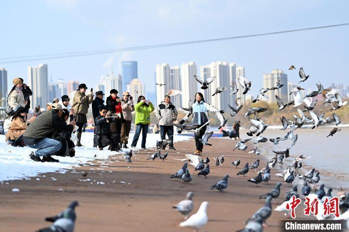 11月25日，甘肃兰州迎来降雪天气。图为市民雪后在黄河边拍摄鸽子。中新社记者　九美旦增　摄