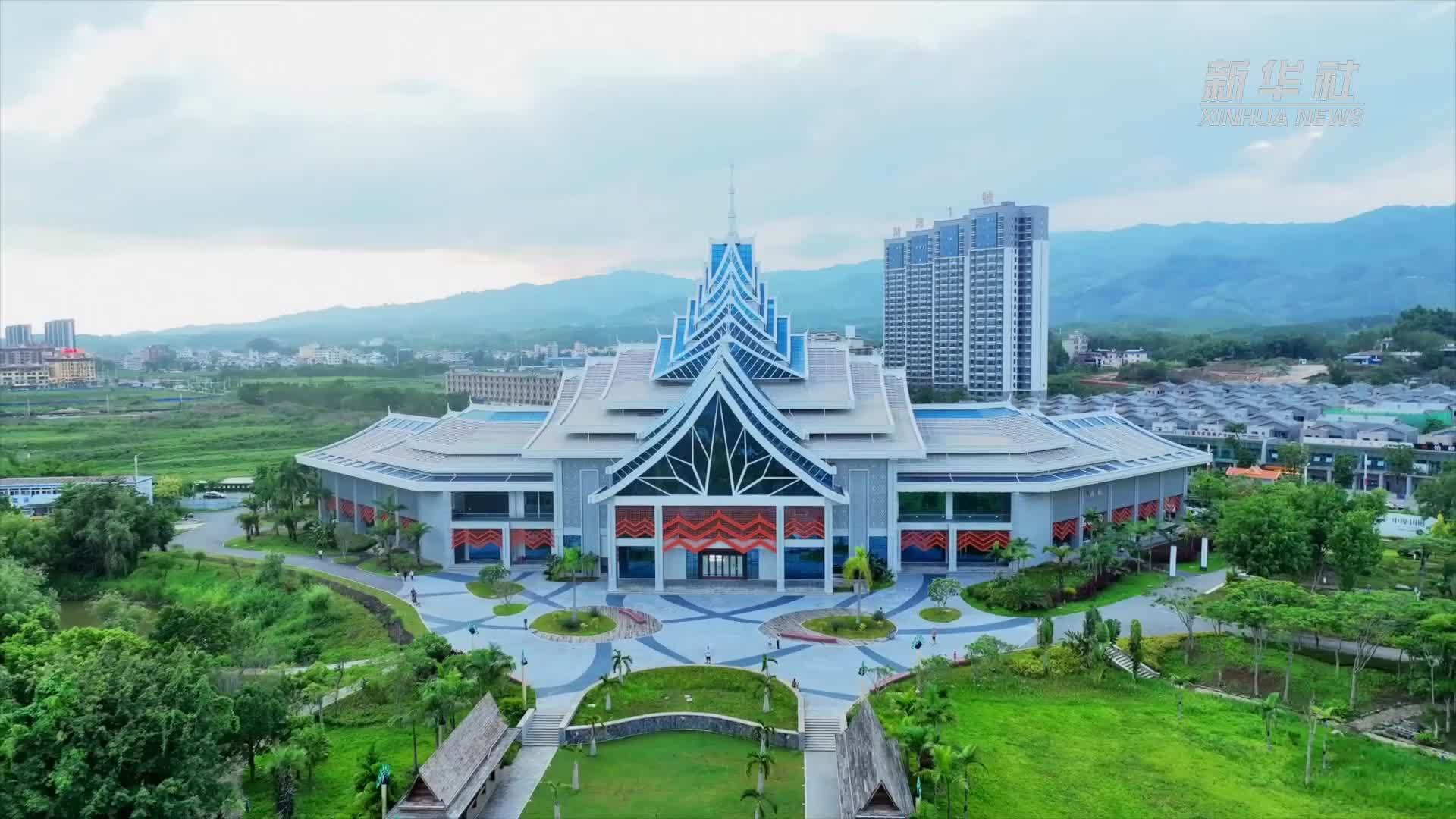 国家一级重点保护野生动物黑头白鹮现身云南瑞丽