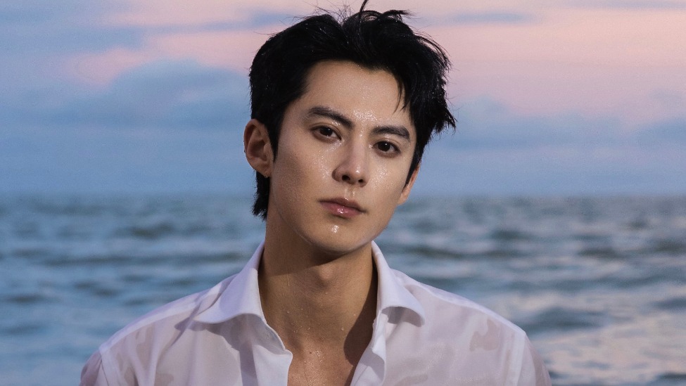 王鹤棣演唱会票价跳水，割韭菜割到大动脉了？封面图