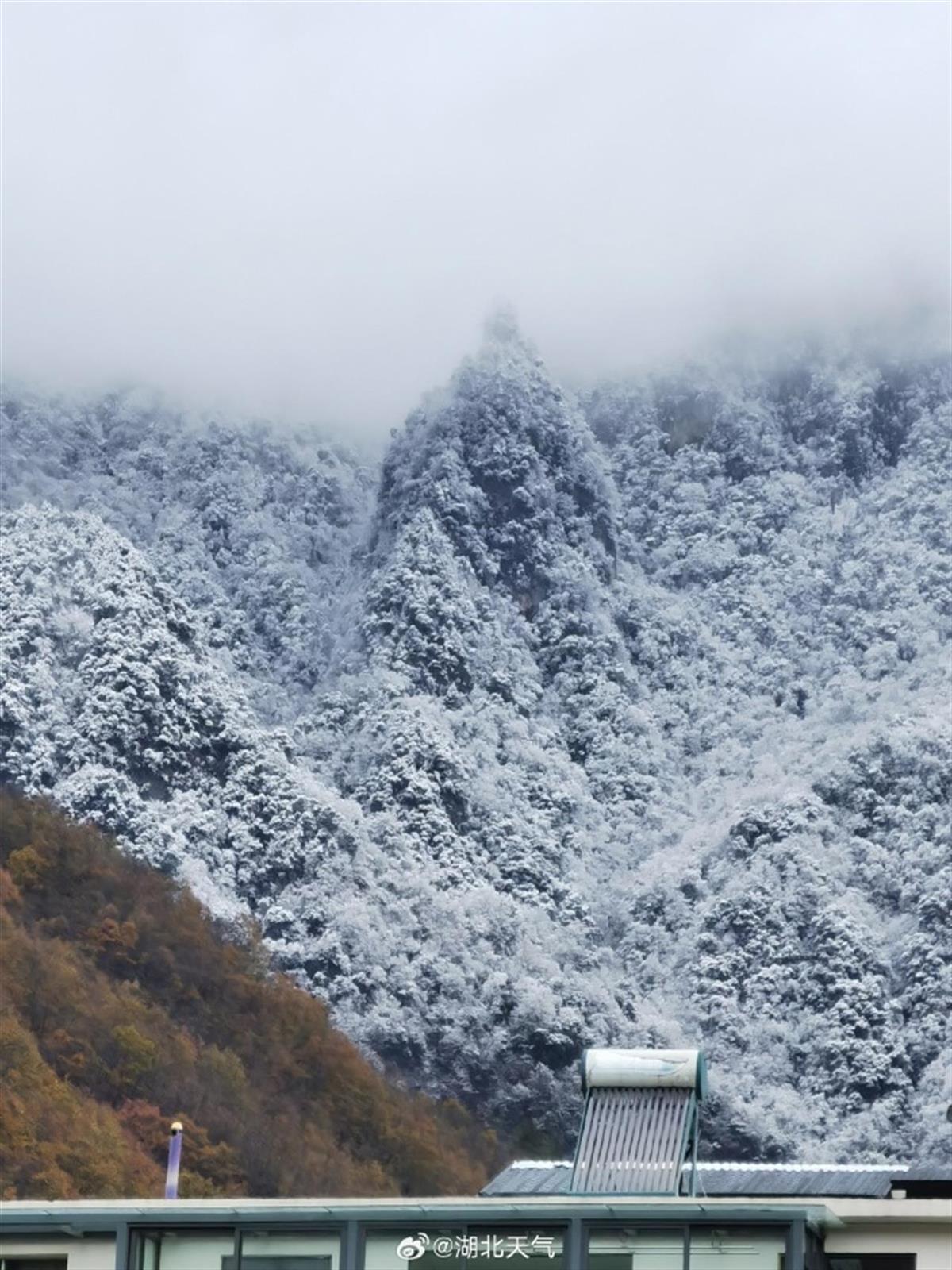 神农架下雪了（徐诗琪、王奥林 摄）