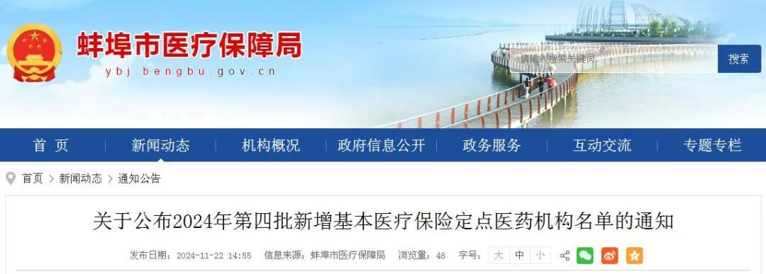 网站截图