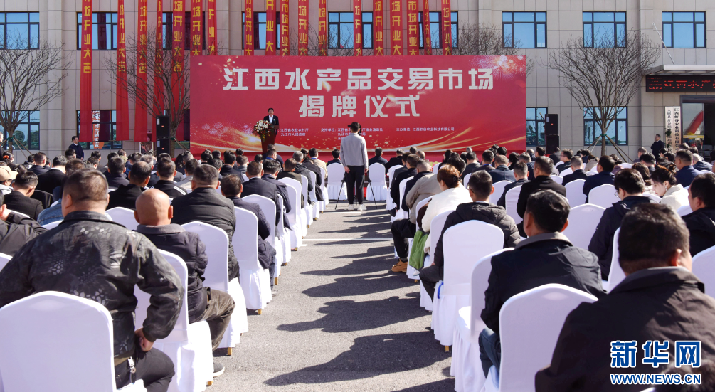 揭牌仪式现场。新华网发