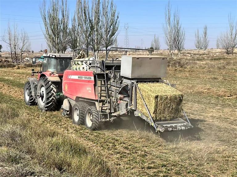 兰州新区秦川园区万亩苜蓿基地，打捆机正在将晒干的三茬苜蓿打包成捆。