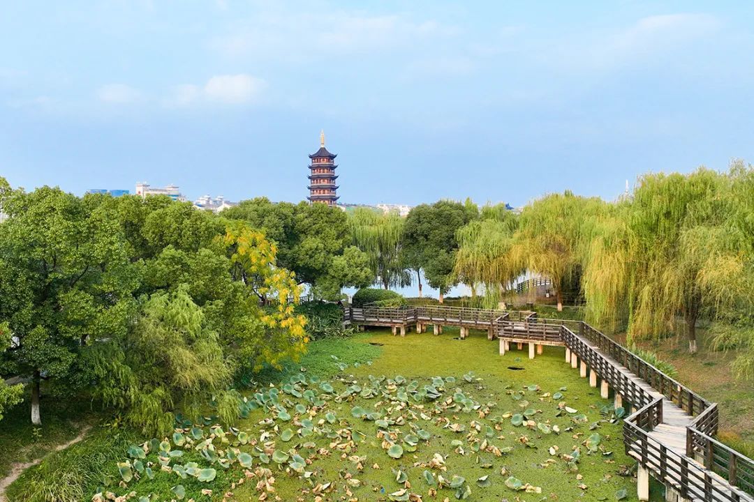 在海陵遇见初冬的浪漫