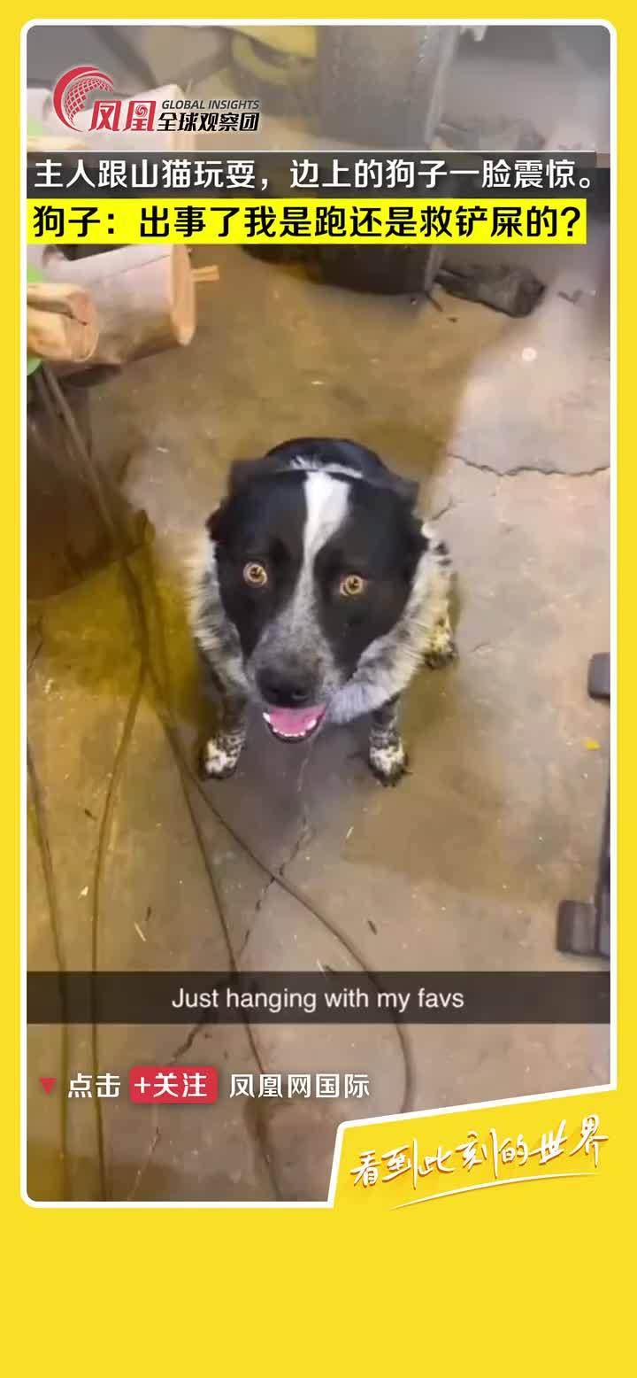 你們都有狗狗濾鏡看別家狗狗都可愛捏, image size:720x1556