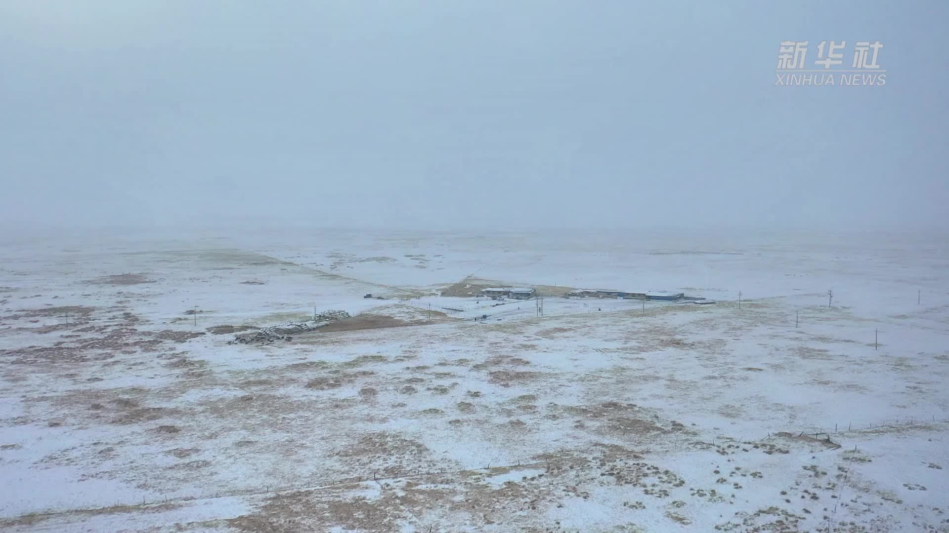 内蒙古东乌珠穆沁旗：加强饲草储备 保障牲畜越冬