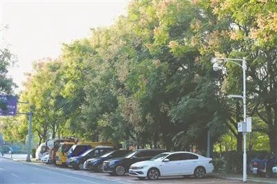 东湖家园小区门前道路干净整洁、车辆停放有序。