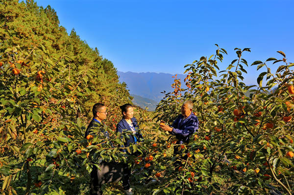 图为该县纪委监委监督检查组在峡口镇岩岭村走访了解产业资金落实情况